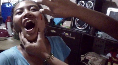 (image for) Megan and the Sub Sandwich