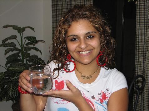 (image for) Angie and the Calico