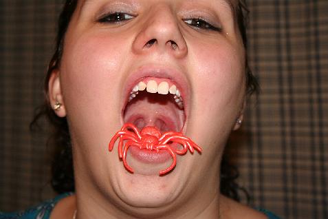 (image for) Cassandra and the Pink Spider