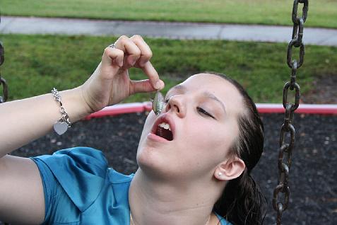 (image for) Cassandra and the Swing Danio