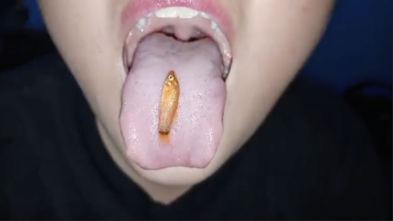 (image for) Catherine and the Welcome Back Fish