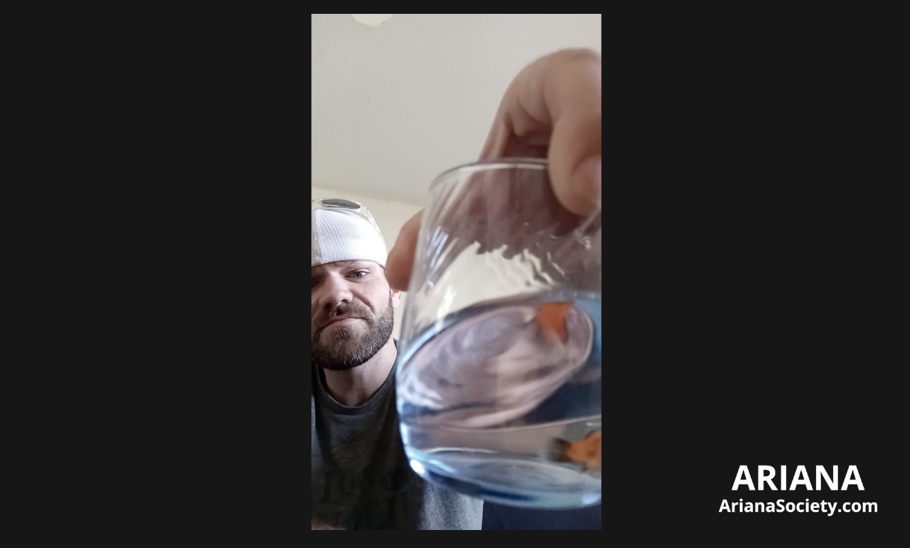 (image for) Eric and Pete the Halloween Fish