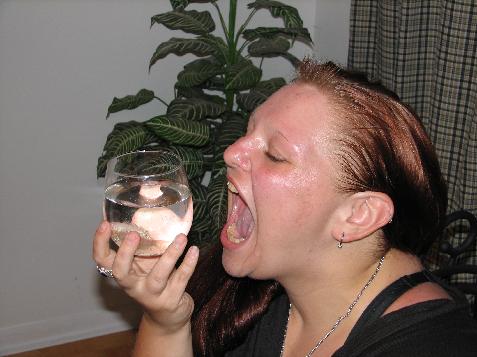 (image for) Ferret and the Kissy Fish