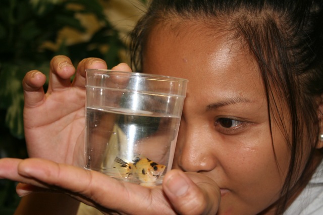 (image for) Fujiko and her Friend's Fish