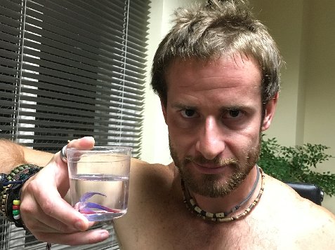 (image for) Mark and the Valuable Fish
