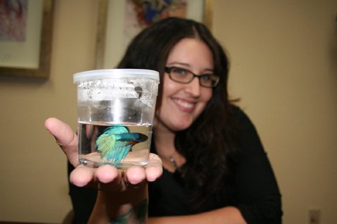 (image for) Athena Digests Fins First