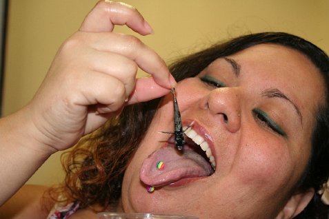 (image for) Kitty Melts the Snow