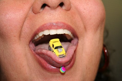 (image for) Kitty and the Rude Family