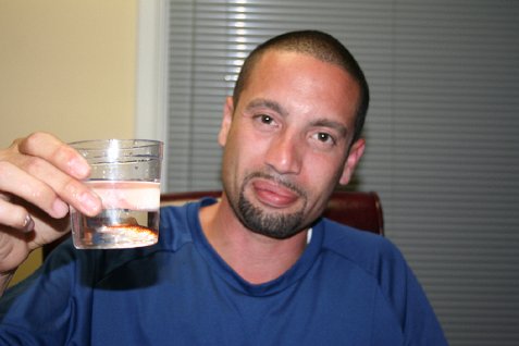 (image for) Yelo and the One-Eyed Fish