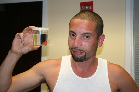 (image for) Yelo and the Goldfish