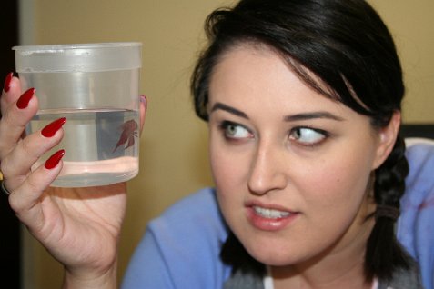 (image for) Athena and the Last Camper