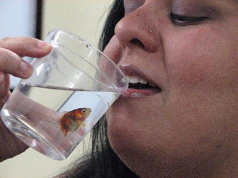 (image for) Kitty Keeps a Fish Warm