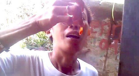 (image for) Linda and the December Fish