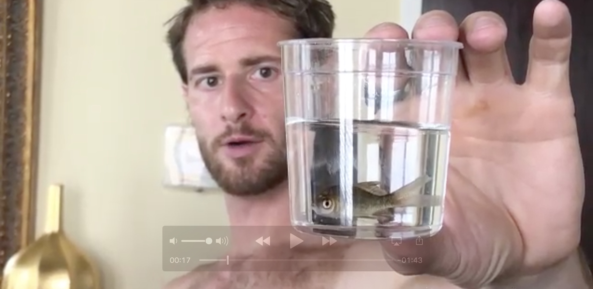 (image for) Mark and Bucky