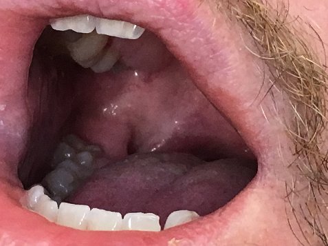 (image for) Mark Honors Requests