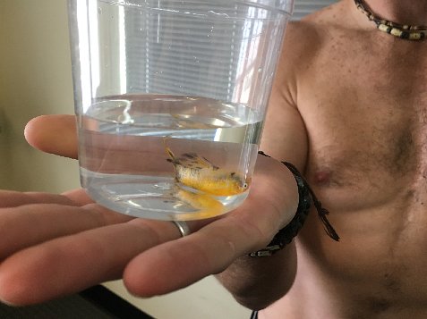 (image for) Mark and Sunshine