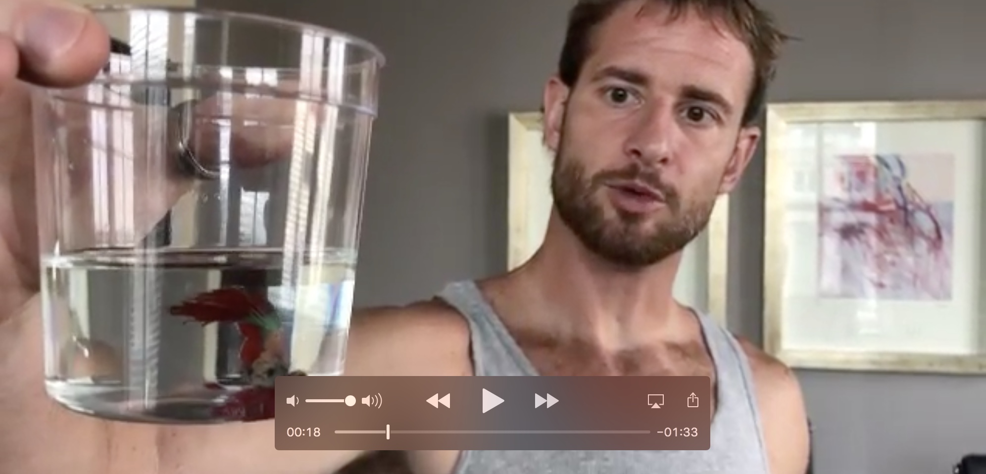 (image for) Mark and the Welcome Back Betta