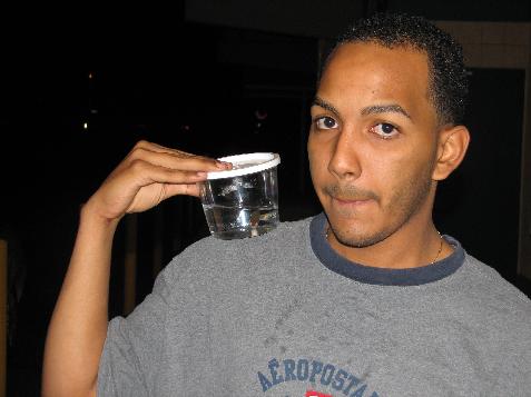 (image for) Miguel and the Giant Danio