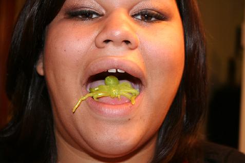 (image for) Nicole and the Yellow Spider