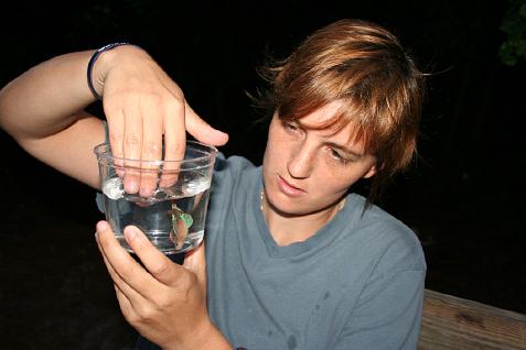 (image for) Sally and the Beautiful Betta