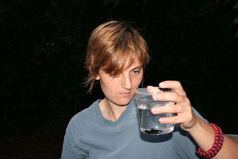 (image for) Sally's First Fish