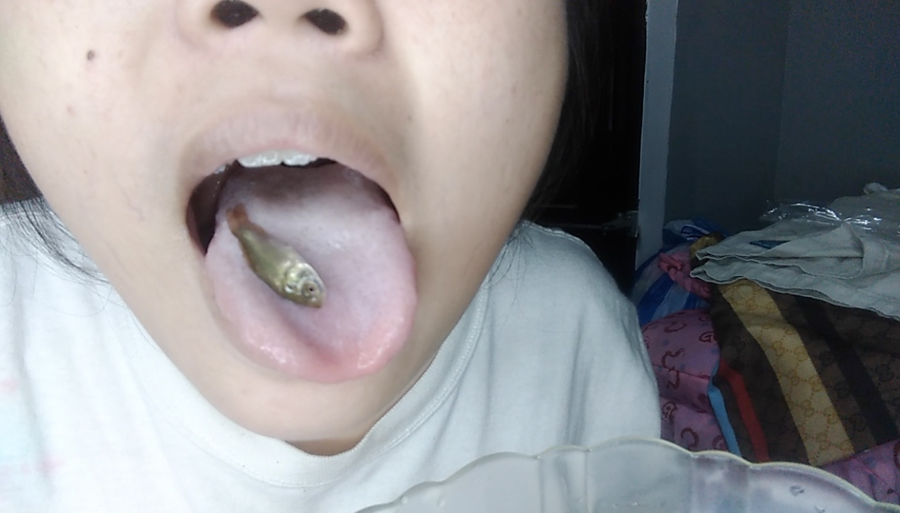 (image for) Catherine and the Christmas Carol Treat