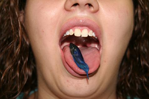 (image for) Cassandra and the Doomsday Betta